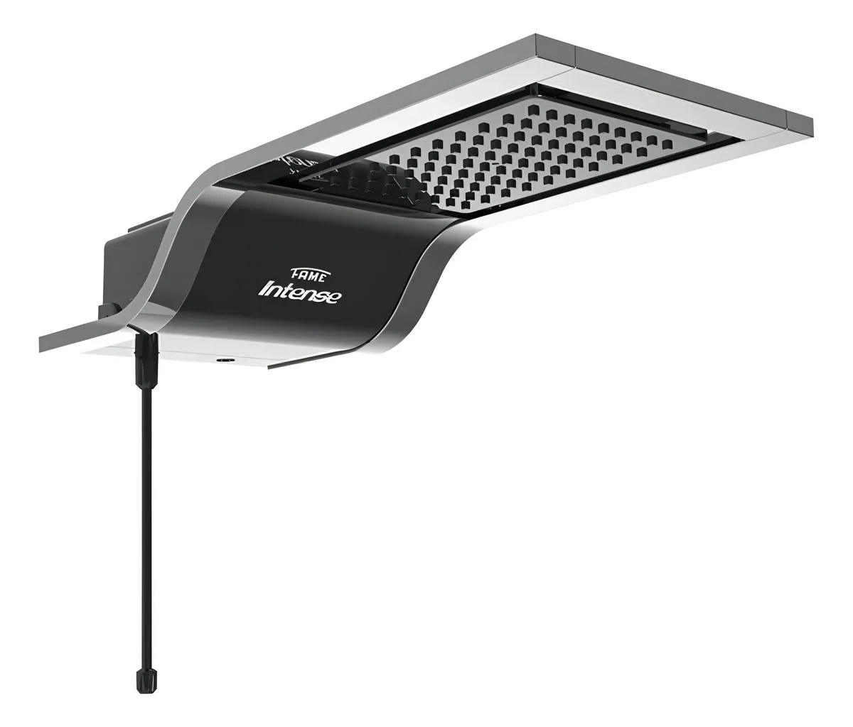 INTENSE-FAME